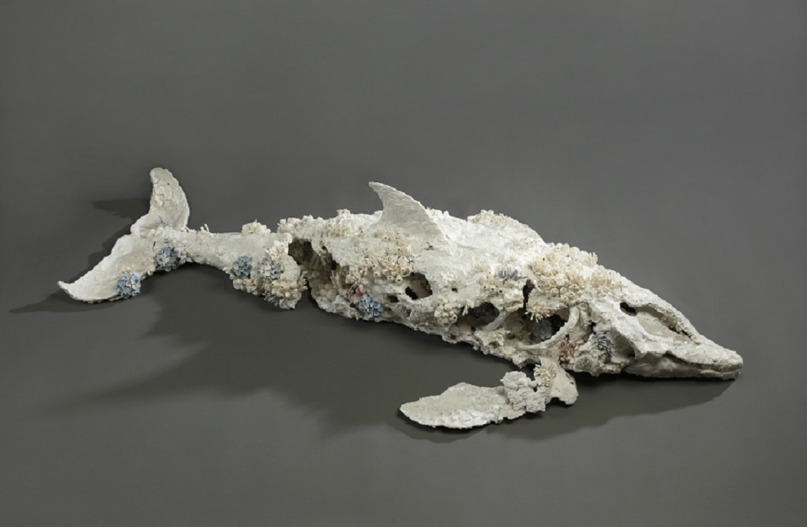 創作獎首獎得主王裔婷─《隕落中的重生化石—熱帶斑海豚》