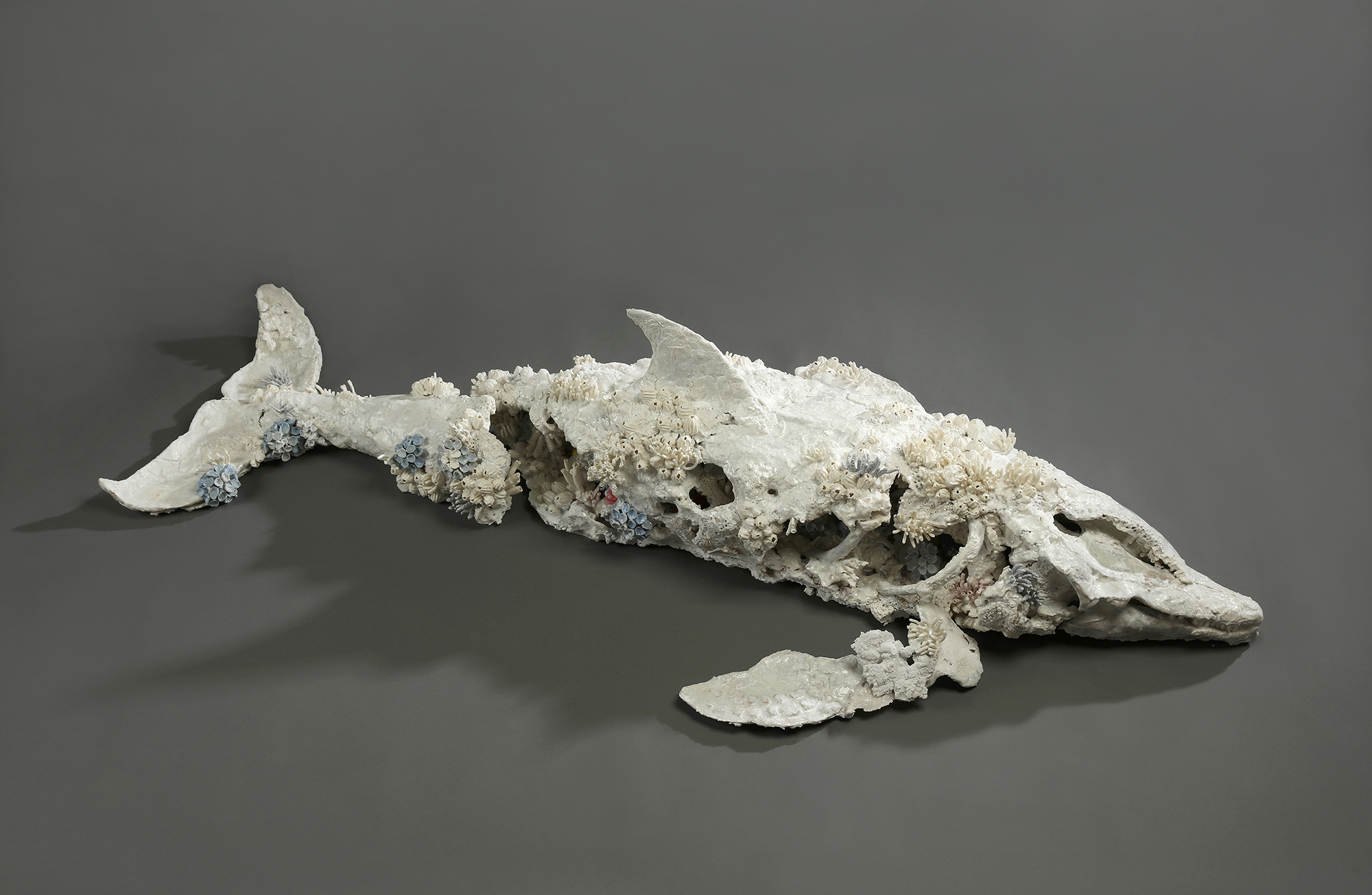 創作獎首獎得主王裔婷《隕落中的重生化石—熱帶斑海豚》，表現生態與人為迫害的深刻體悟。