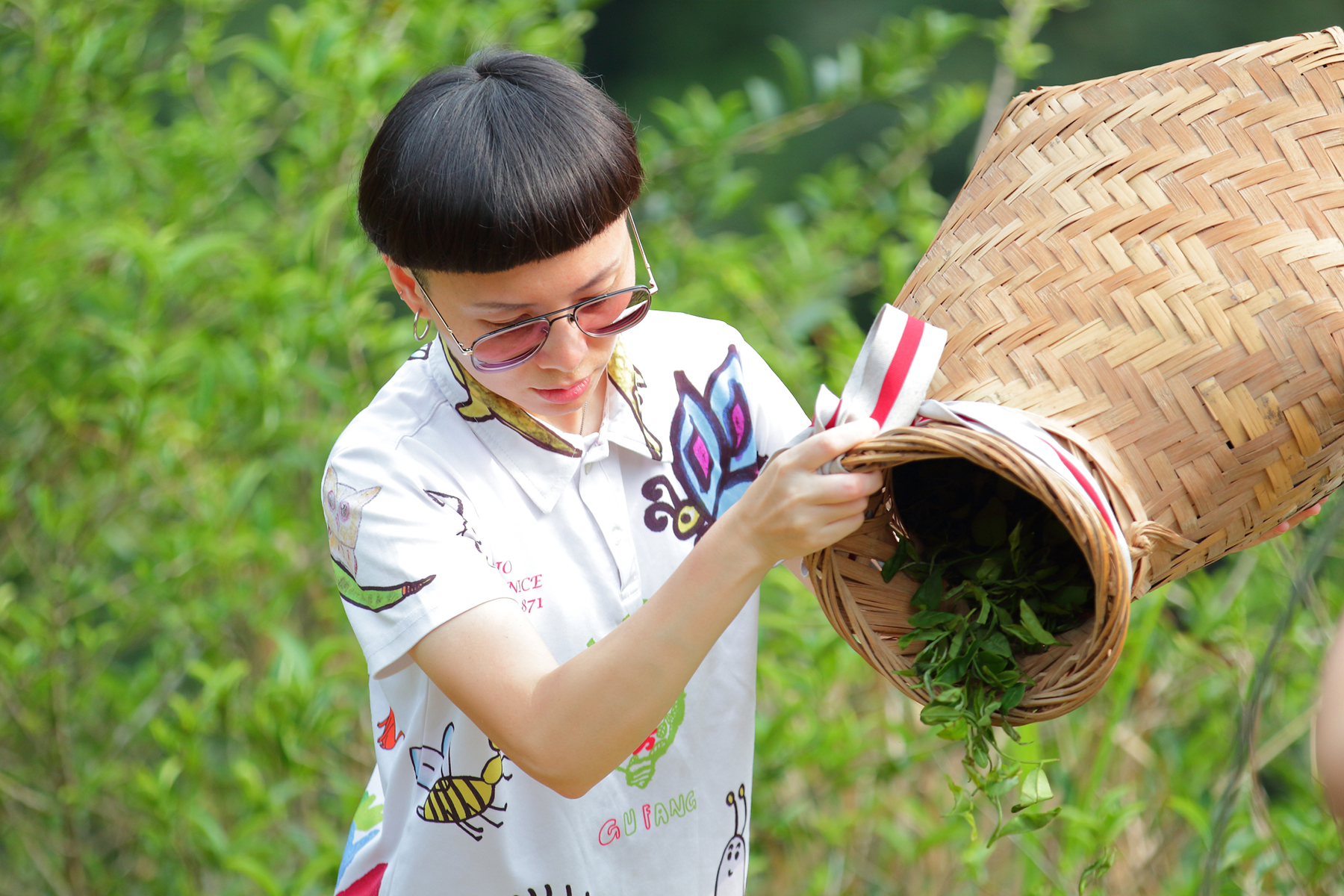 「品味茶香」暢遊谷芳有機茶園樣貌,動手製作美味可口的茶大福。